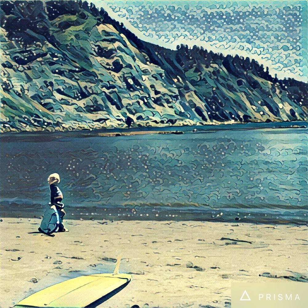 Meet your Posher, Elise